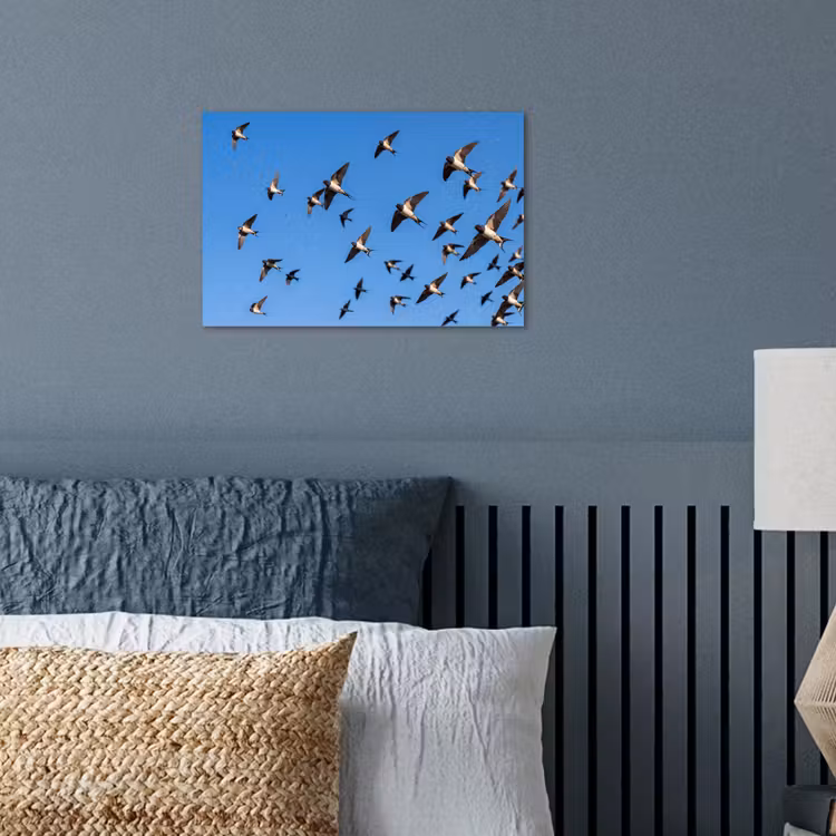 Zwaluwen - Vliegen - Blauw poster papier klein -sfeer2