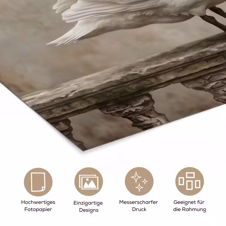Zwaan - Elegant - Dieren - Wit poster papier klein -tcloseup_DE