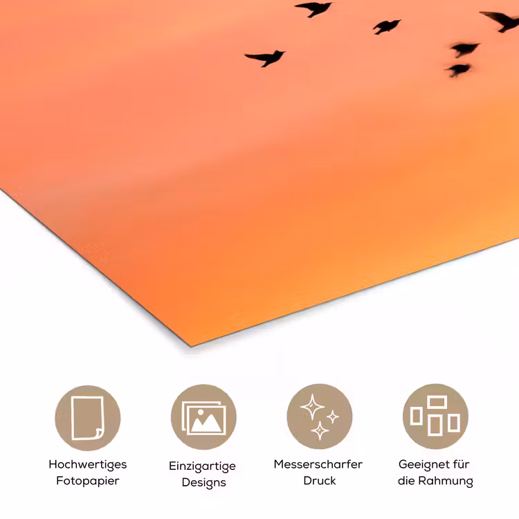 Zwerm - Vogels - Oranje poster papier klein -tcloseup_DE