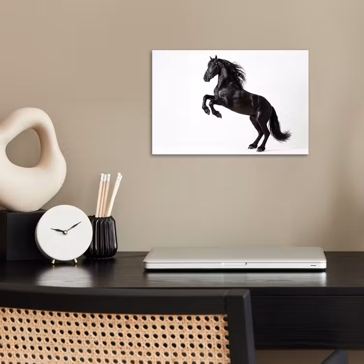 Zwart - Paard - Portret poster papier klein -sfeer1