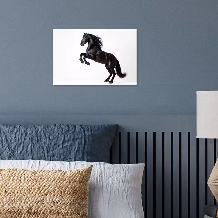 Zwart - Paard - Portret poster papier klein -sfeer2