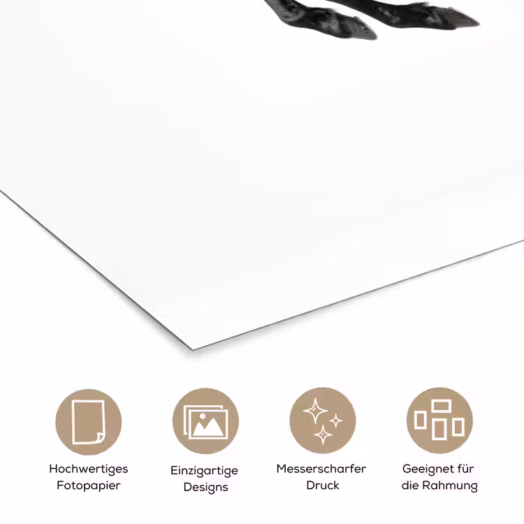 Zwart - Paard - Portret poster papier klein -tcloseup_DE