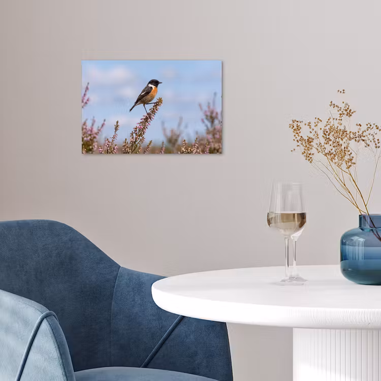 Roodborsttapuit - Heide - Paars - Natuur - Sfeervol poster papier klein -sfeer3