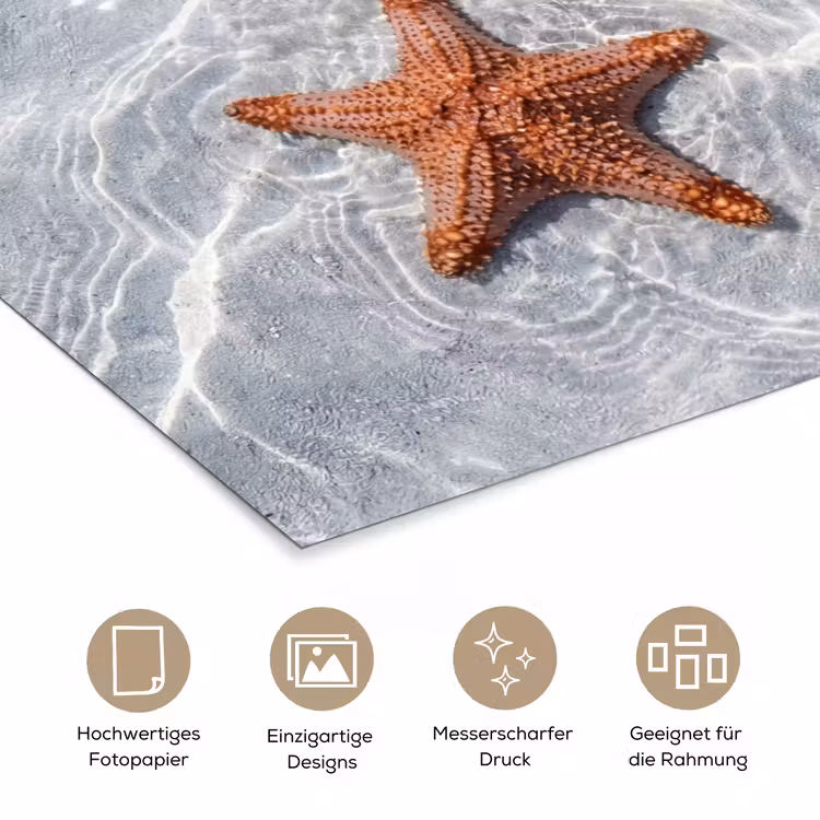 Zeesterren - Water - Helder poster papier klein -tcloseup_DE