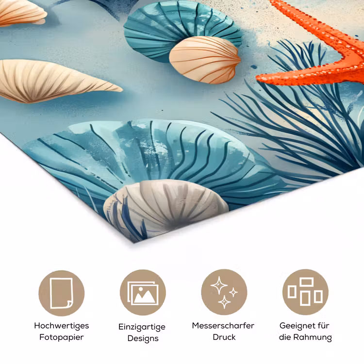 Zeesterren - Schelpen - Illustratie - Zand poster papier klein -tcloseup_DE