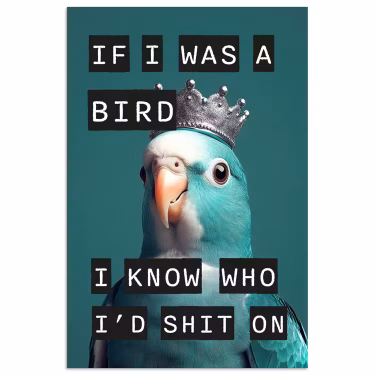 Parkiet - Turquoise - Quotes - Decoratie poster papier klein -3d