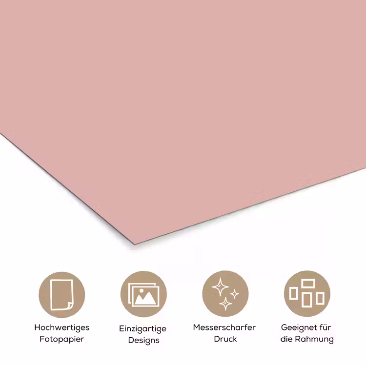 Soft - Blush - Roze poster papier klein 62 -tcloseup_DE