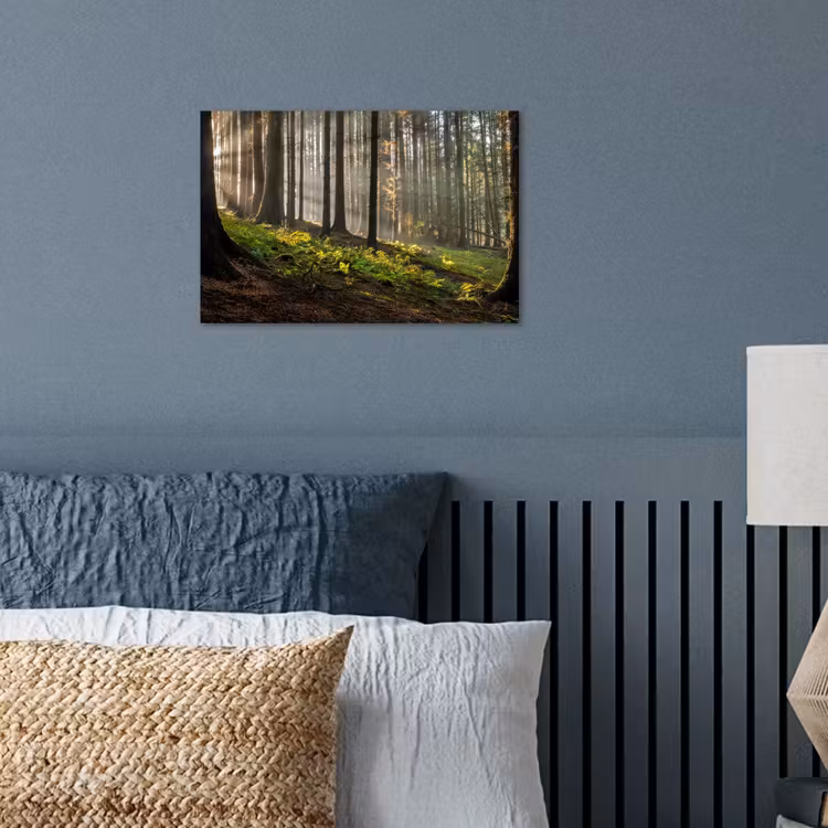 Zon - Takken - Bomen - Bos - Natuur poster papier klein -sfeer2
