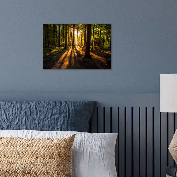 Zon - Bomen - Bos - Landschap - Natuur poster papier klein -sfeer2