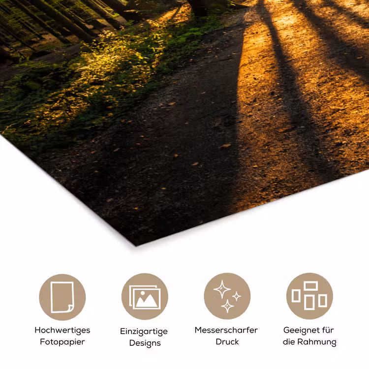 Zon - Bomen - Bos - Landschap - Natuur poster papier klein -tcloseup_DE