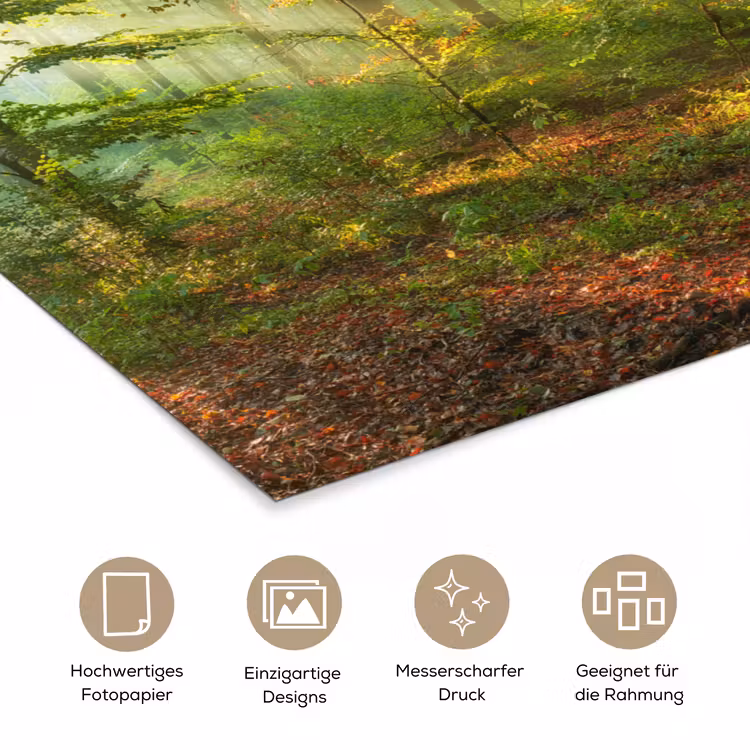 Zon - Bos - Bomen - Natuur - Herfst poster papier klein -tcloseup_DE
