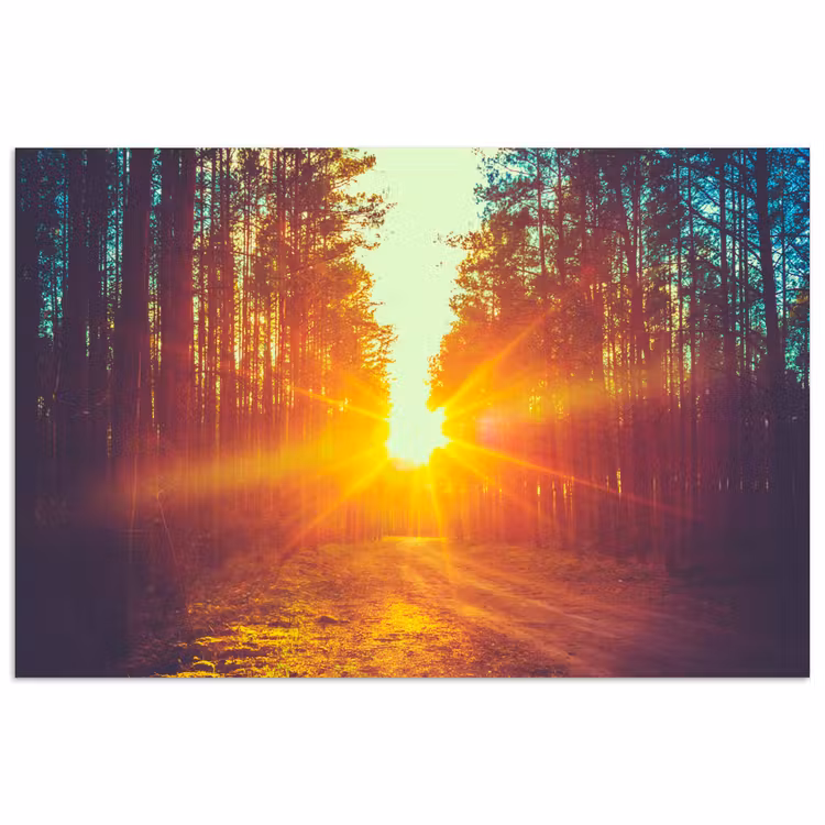 Zonsondergang - Bomen - Bos - Natuur poster papier klein -3d