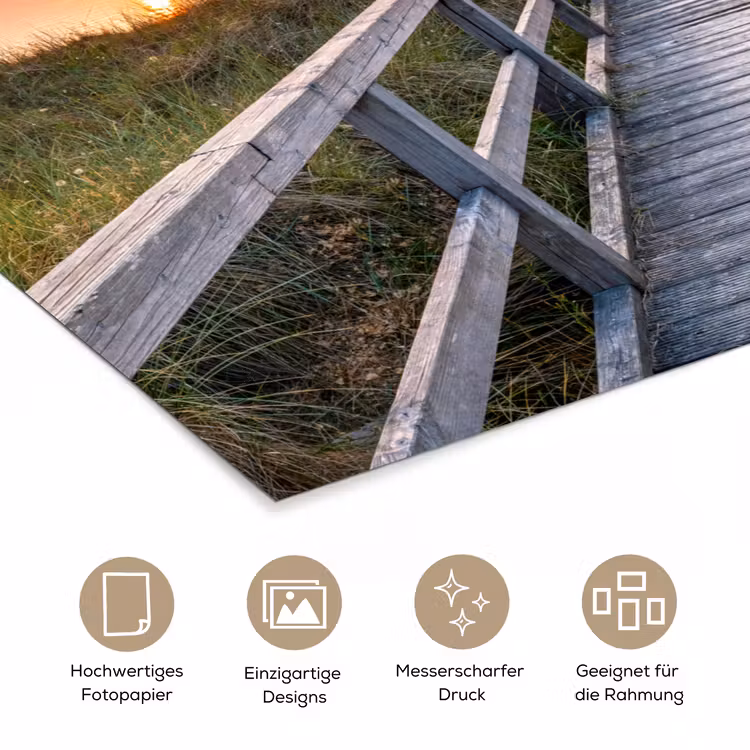 Zonsonderang - Zee - Pad - Gras - Duin - Vogels poster papier klein -tcloseup_DE