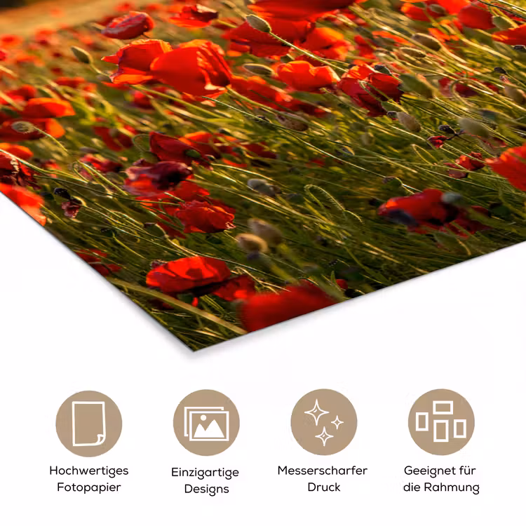 Zonsondergang - Klaprozen - Rood - Bloemen - Veld - Natuur poster papier klein -tcloseup_DE