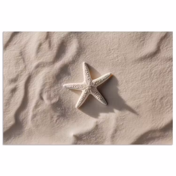 Strand - Zeester - Zand - Beige poster papier klein -3d