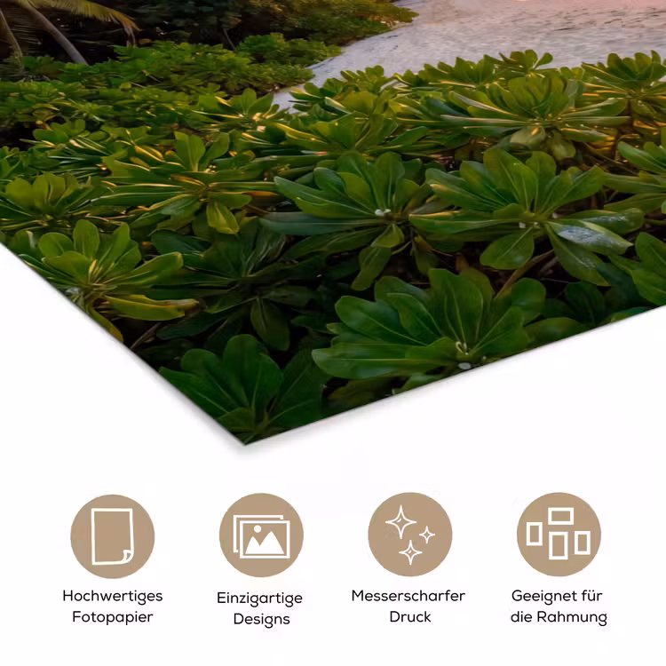 Strand - Zonsondergang - Palmbomen - Tropisch - Natuur poster papier klein -tcloseup_DE