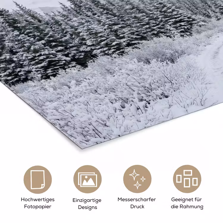 Weg - Bergen - Sneeuw - Naaldbos - Avontuurlijk poster papier klein -tcloseup_DE