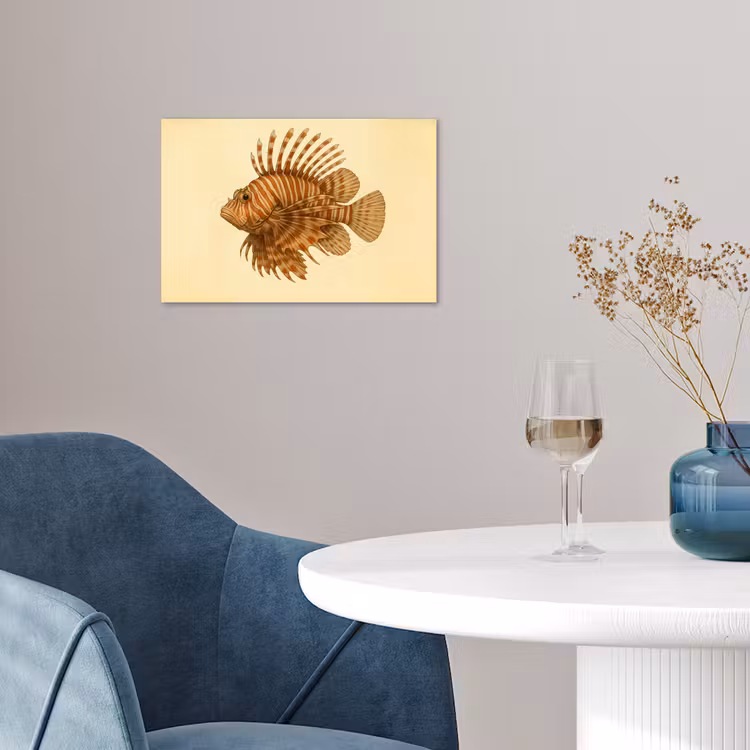 Strepen - Vis - Rond - Stekels poster papier klein -sfeer3