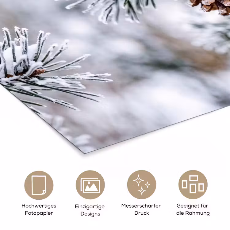 Dennenappel - Tak - Sneeuw - Winter - Sfeervol poster papier klein -tcloseup_DE