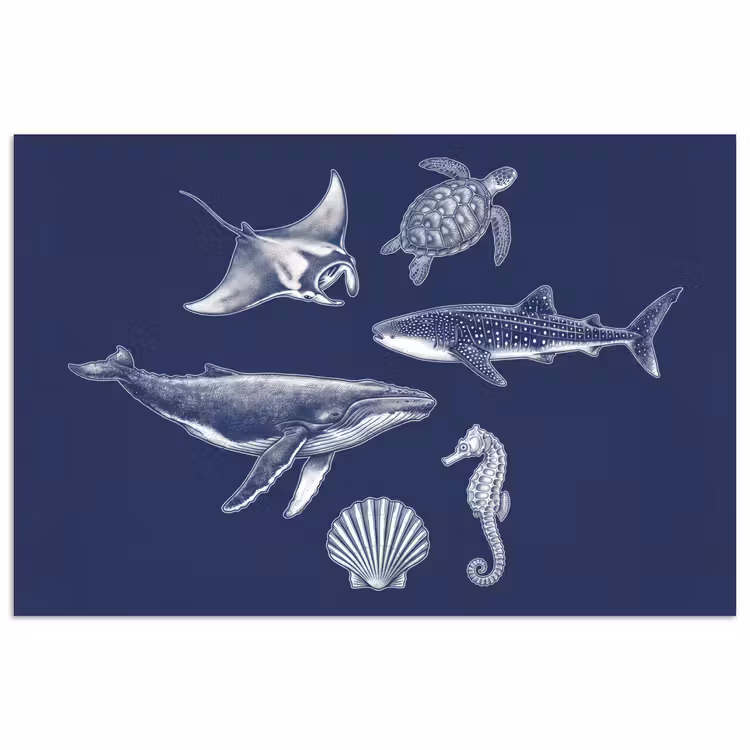 Dieren - Zeeleven - Oceaan - Graveren - Blauw poster papier klein -3d