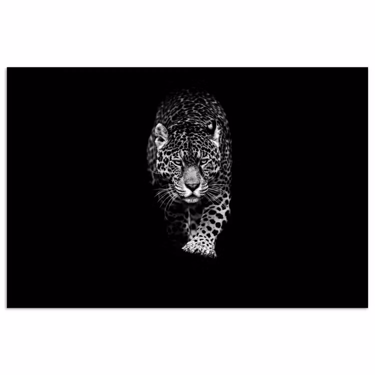 Dieren - Zwart - Luipaard - Wit - Wild poster papier klein -3d