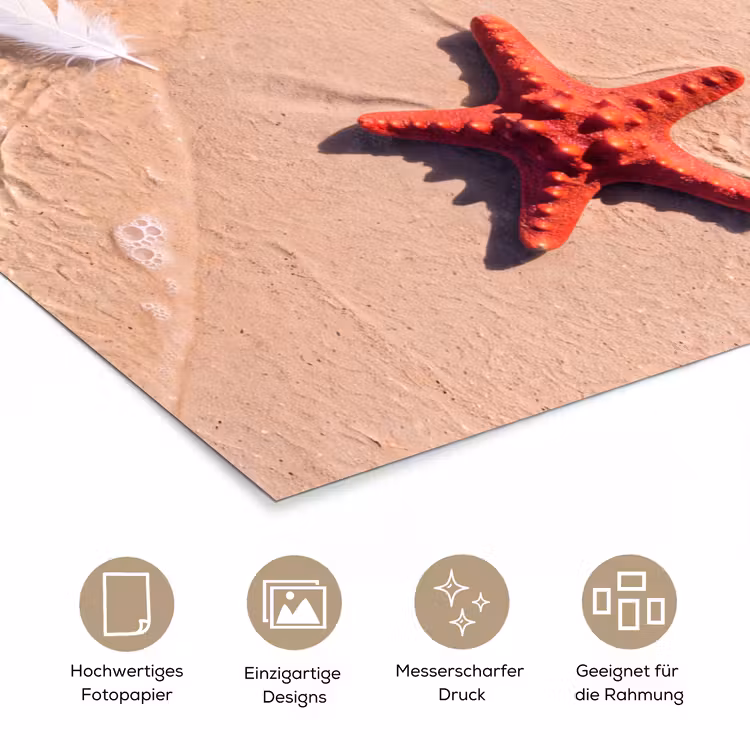 Dieren - Strand - Zee - Natuur - Rood poster papier klein -tcloseup_DE
