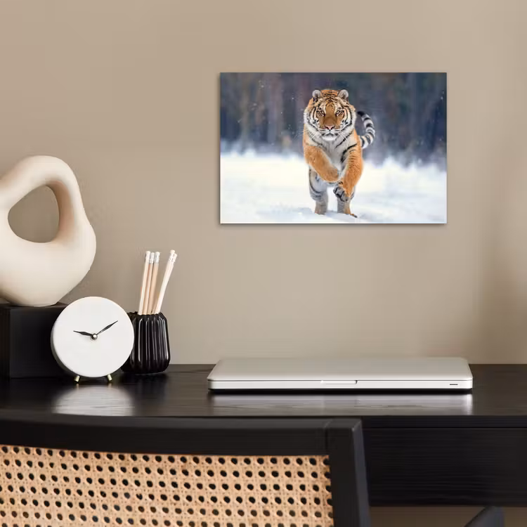 Tijger - Landschap - Sneeuw - Winter - Dieren poster papier klein -sfeer1