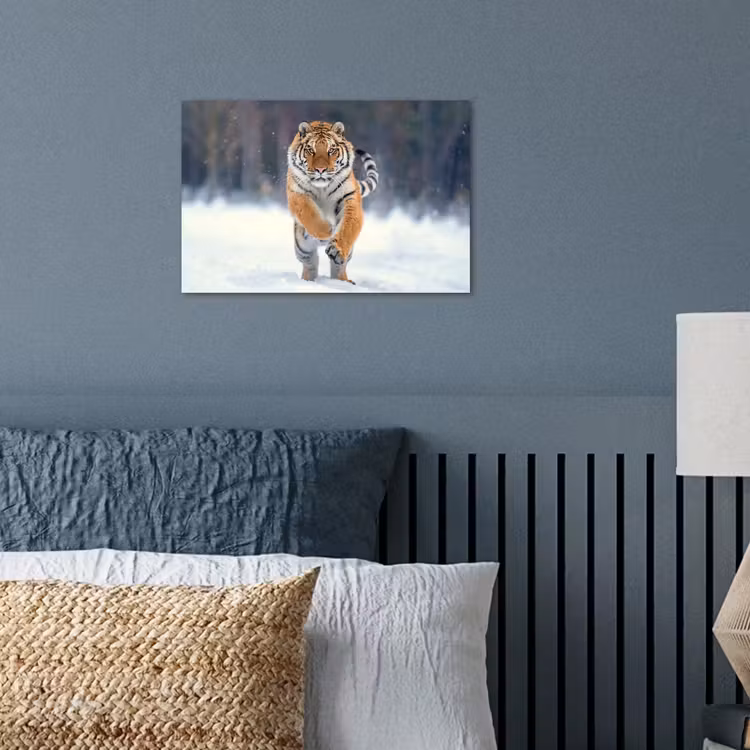 Tijger - Landschap - Sneeuw - Winter - Dieren poster papier klein -sfeer2