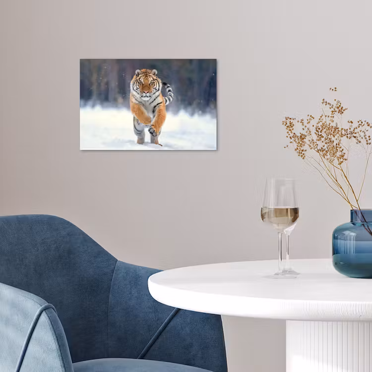 Tijger - Landschap - Sneeuw - Winter - Dieren poster papier klein -sfeer3