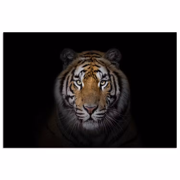 Tijger - Wilde dieren - Portret - Zwart - Dieren poster papier klein -3d