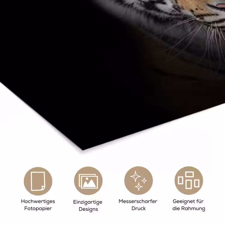 Tijger - Wilde dieren - Portret - Zwart - Dieren poster papier klein -tcloseup_DE
