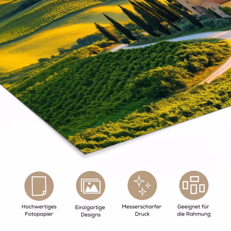 Toscane - Landschap - Wijngaarden poster papier klein -tcloseup_DE
