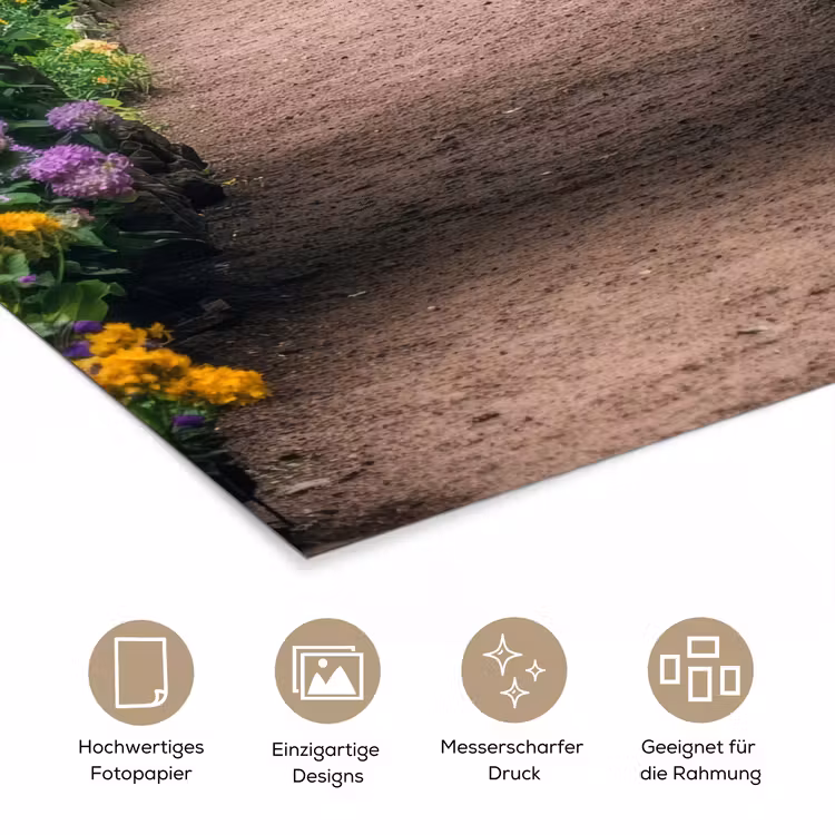 Doorkijk - Bloemen - Hortensia - Pad poster papier klein -tcloseup_DE