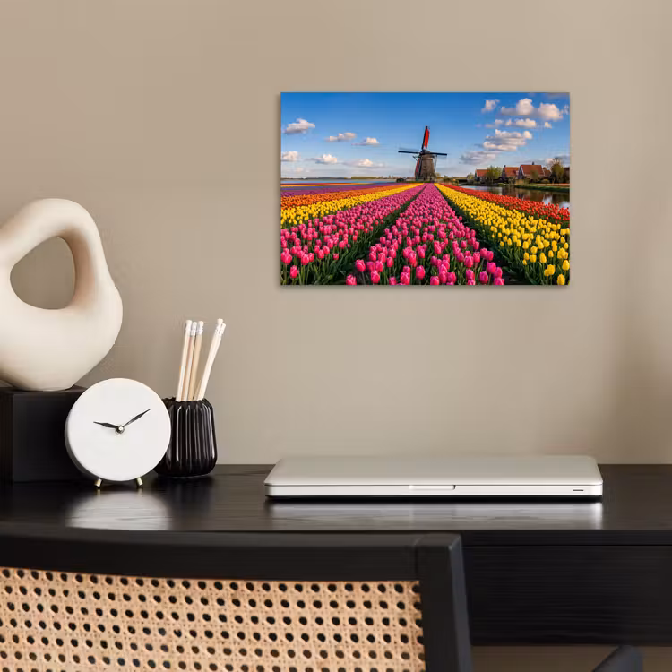 Tulpen - Holland - Molen - Kleurrijk poster papier klein -sfeer1