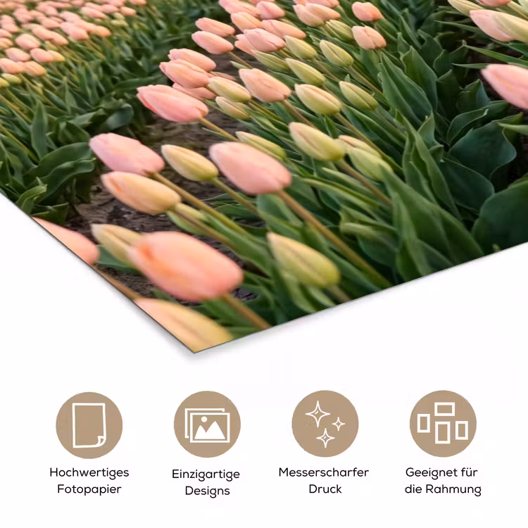 Tulpen - Landschap - Roze poster papier klein -tcloseup_DE