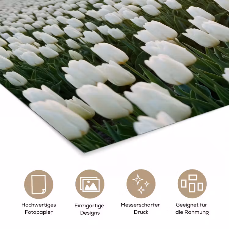 Tulpen - Landschap - Wit poster papier klein -tcloseup_DE