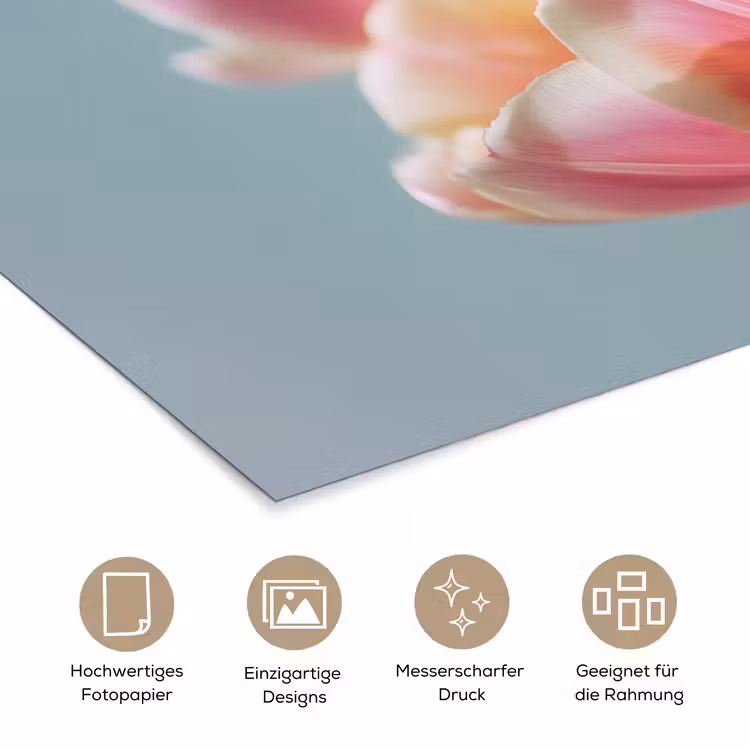 Tulpen - Roze - Stelen poster papier klein -tcloseup_DE