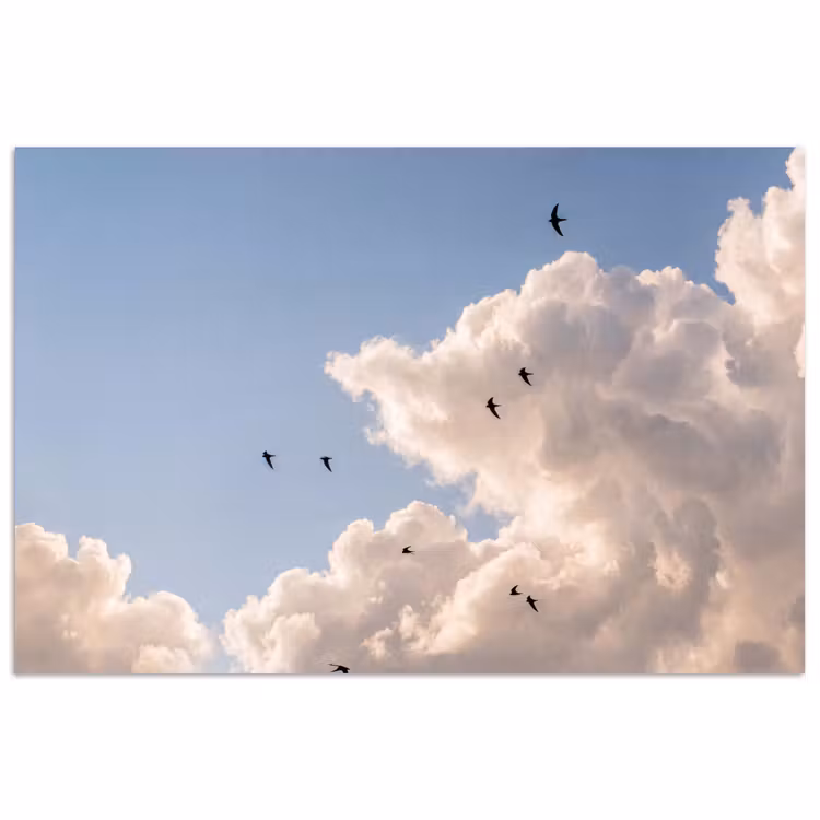 Vogel - Vlucht - Wolken - Natuur - Blauw poster papier klein -3d