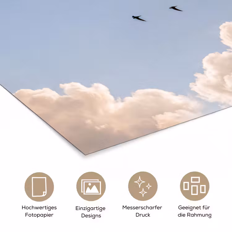 Vogel - Vlucht - Wolken - Natuur - Blauw poster papier klein -tcloseup_DE