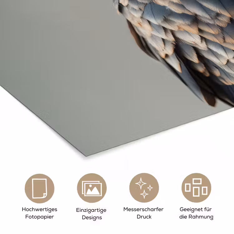 Vogel - Realistisch - Veren - Bruin poster papier klein -tcloseup_DE
