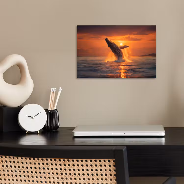 Walvis - Zon - Zee poster papier klein -sfeer1