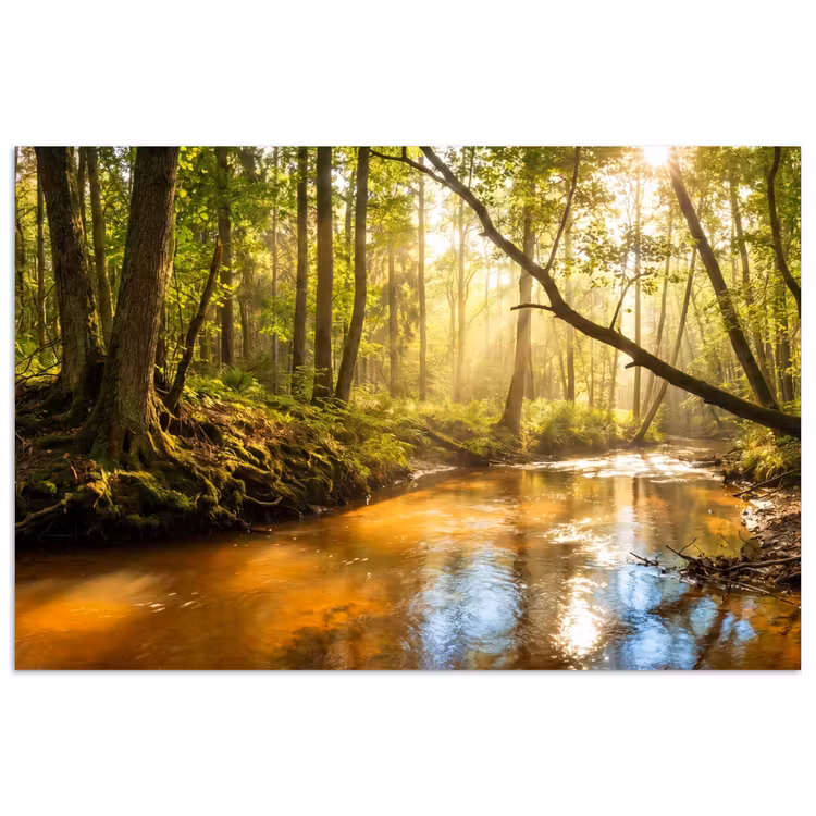 Bos - Beek - Zonlicht - Natuur - Groen poster papier klein -3d