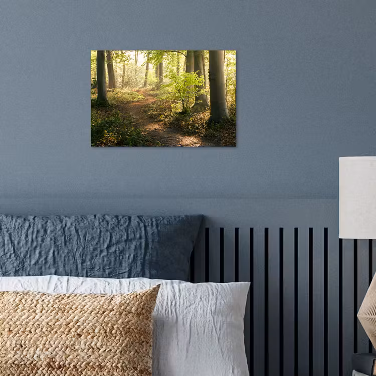 Bos - Bomen - Pad - Zon - Planten - Bladeren - Natuur poster papier klein -sfeer2