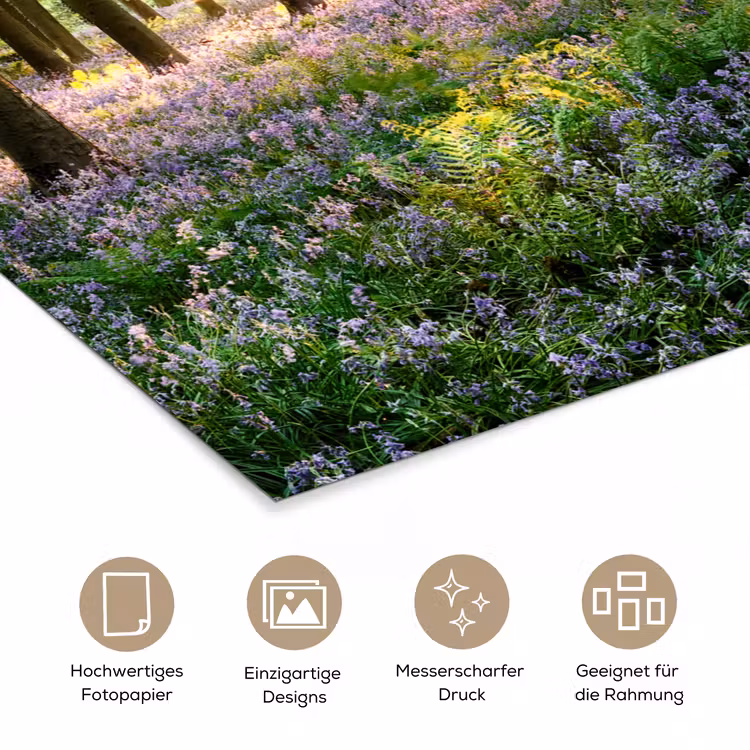 Bos - Bloemen - Lavendel - Zon - Paars - Natuur poster papier klein -tcloseup_DE
