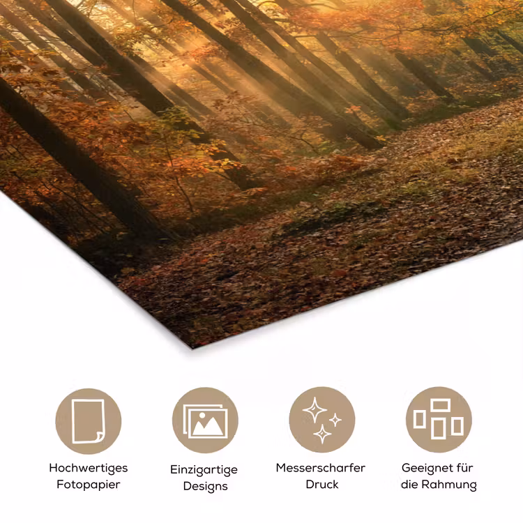 Bos - Herfst - Zon - Landschap - Natuur - Bomen - Bladeren poster papier klein -tcloseup_DE