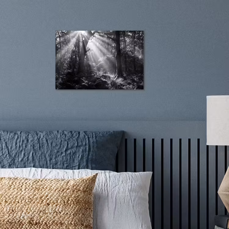 Bos - Lichtstralen - Natuur - Zwart-wit poster papier klein -sfeer2