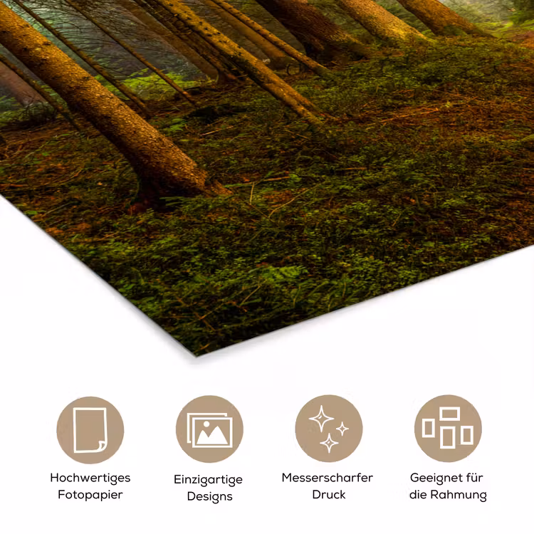 Bos - Natuur - Bomen - Landschap - Bladeren poster papier klein -tcloseup_DE