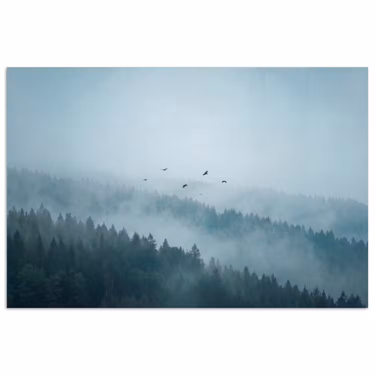Bos - Mist - Vogels - Natuur - Groen poster papier klein -3d