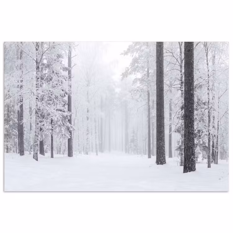 Bos - Sneeuw - Pad - Winter - Stilte poster papier klein -3d