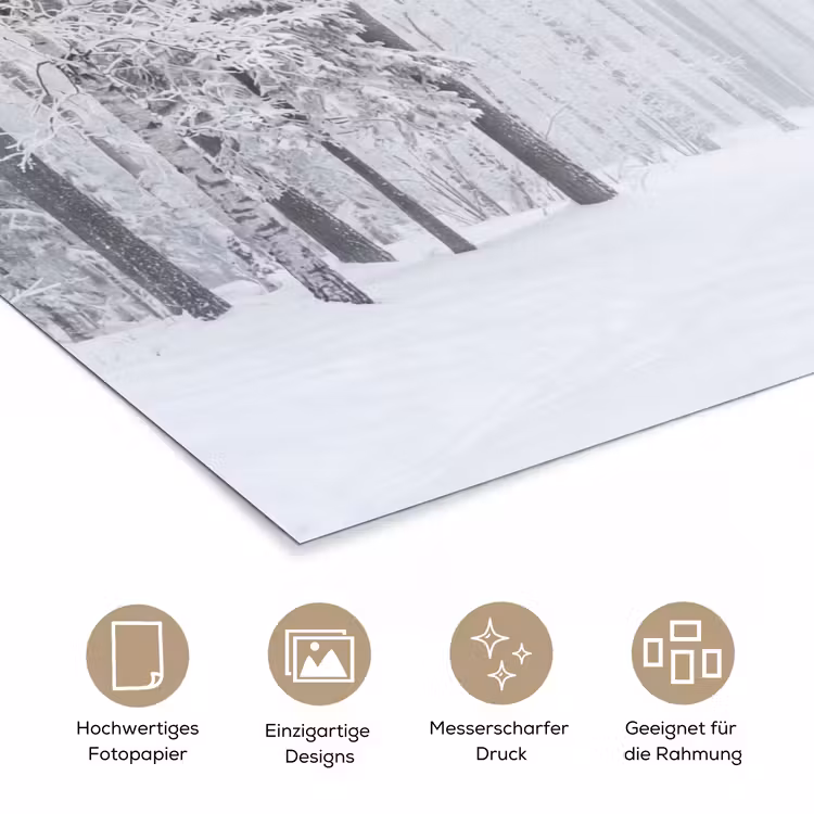 Bos - Sneeuw - Pad - Winter - Stilte poster papier klein -tcloseup_DE